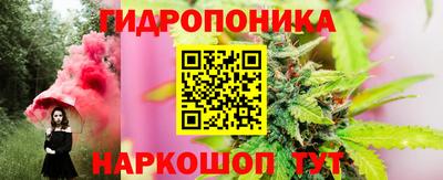 Альфа ПВП Кингисепп
