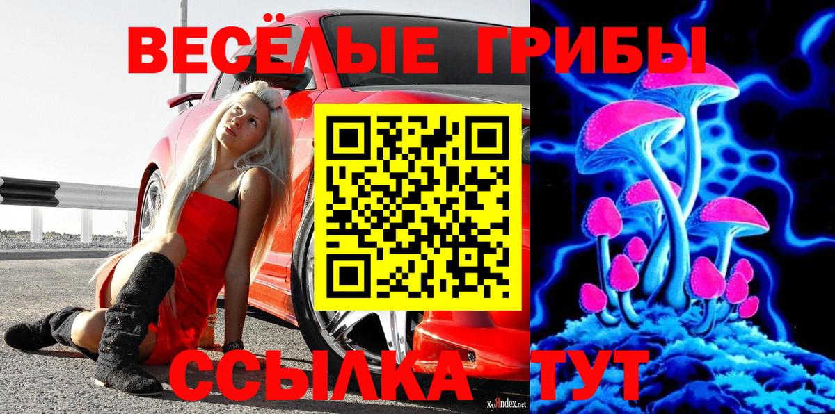 Галлюциногенные грибы MAGIC MUSHROOMS  Вход с VPN  Псилоцибиновые грибы GOLDEN TEACHER  Великие Луки 