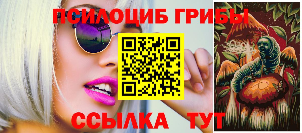 Псилоцибиновые грибы мицелий Великие Луки